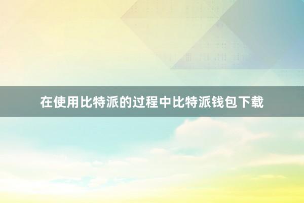 在使用比特派的过程中比特派钱包下载