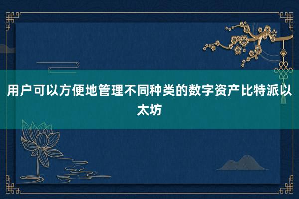 用户可以方便地管理不同种类的数字资产比特派以太坊