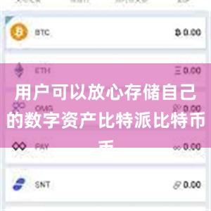 用户可以放心存储自己的数字资产比特派比特币