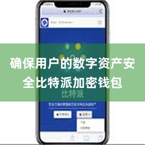 确保用户的数字资产安全比特派加密钱包