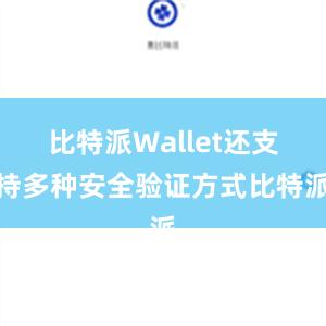 比特派Wallet还支持多种安全验证方式比特派